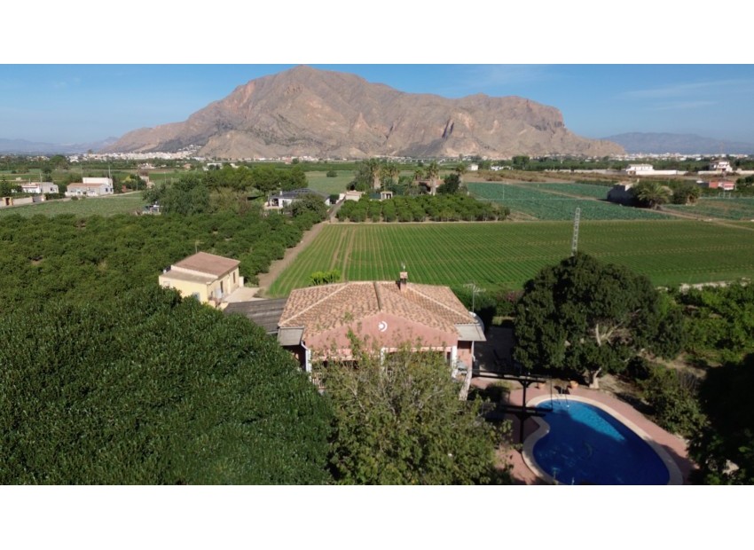 Herverkoop - Finca / Landgoed -
Orihuela - San Bartolome