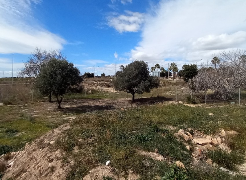 Herverkoop - Plot -
Los Montesinos* - La Herrada*