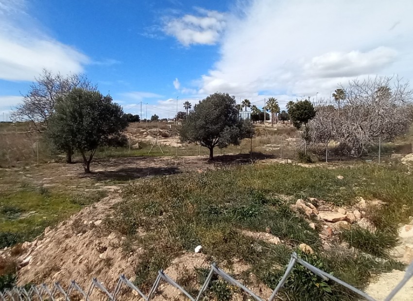 Herverkoop - Plot -
Los Montesinos* - La Herrada*