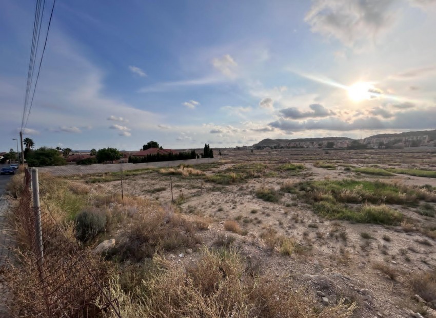 Herverkoop - Plot -
mutxamel