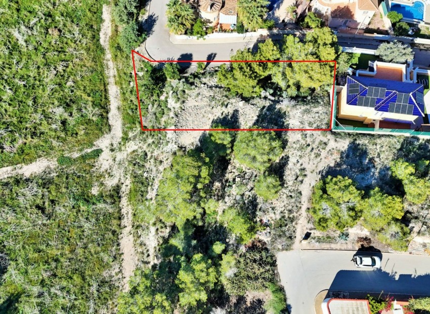 Herverkoop - Plot -
San Miguel de Salinas* - San Miguel De Salinas