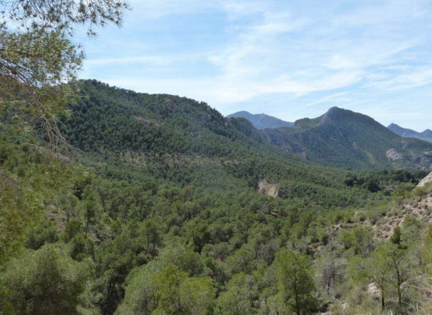 Herverkoop - Villa -
Murcia*