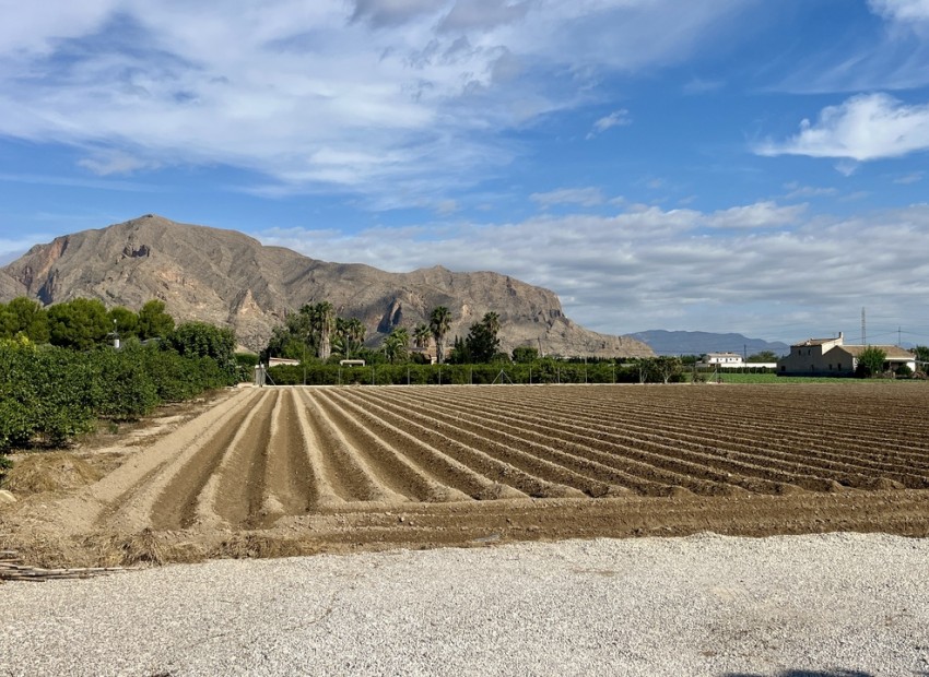 Herverkoop - Villa -
Orihuela* - Orihuela