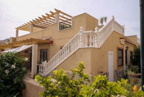 House - Quad - Sale - San Miguel de Salinas* - San Miguel de Salinas*