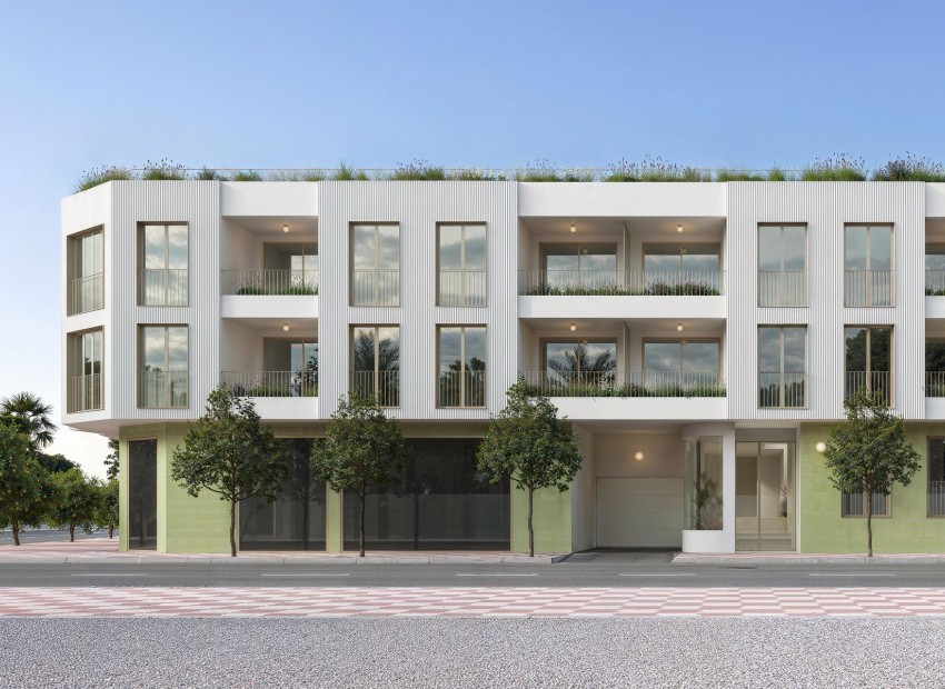 New Build - Apartment / Flat -
Jacarilla - Comunidad Valenciana