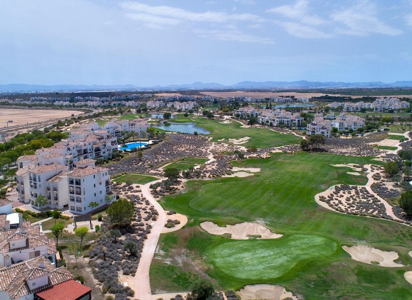 New Build - Villa -
Sucina