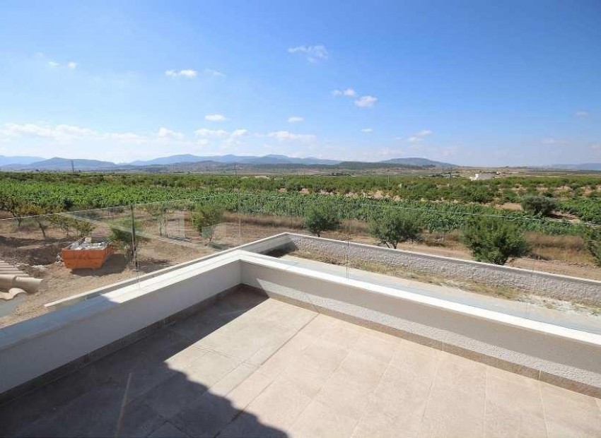 Nieuwbouw - Villa -
Pinoso* - Camino Del Prado