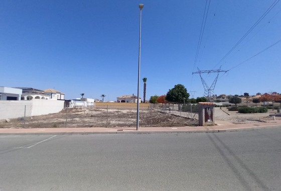 Plot - Herverkoop - La Marina* - San Fulgencio*