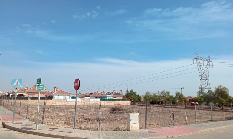 Plot - Herverkoop - Los Montesinos* -
                La Herrada*