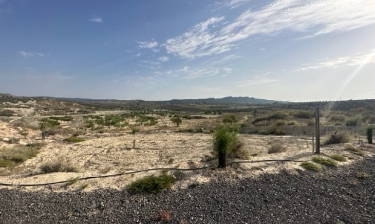 Plot - Herverkoop - Torremendo -
                Torremendo*