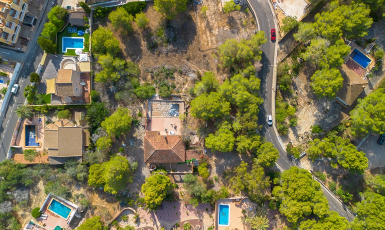 Plot - Sale - Algorfa* -
                Algorfa