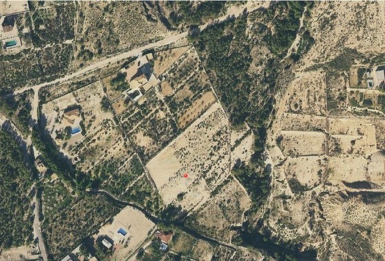 Plot - Venta - Crevillente - Crevillente