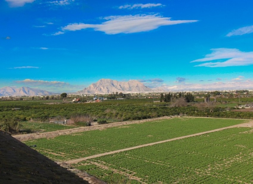 Revente - Appartement / Flat -
Algorfa* - Algorfa