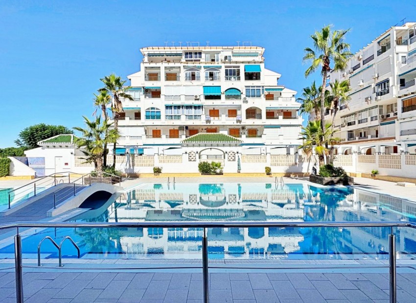 Revente - Appartement / Flat -
La Mata - La Mata - Town