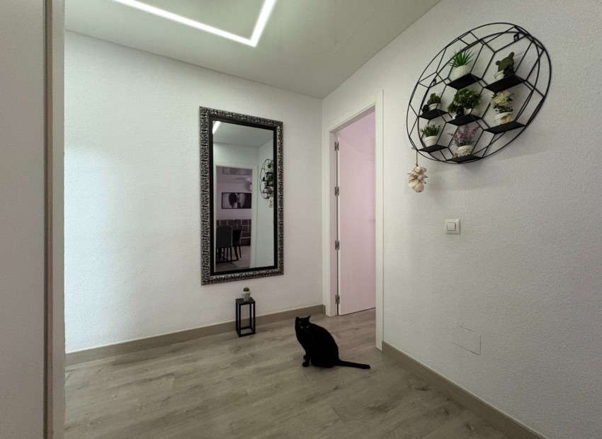 Revente - Appartement / Flat -
Torrevieja* - Centro