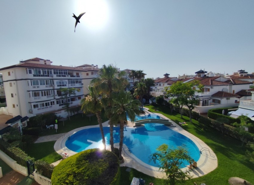 Revente - Appartement / Flat -
Torrevieja* - Torrevieja