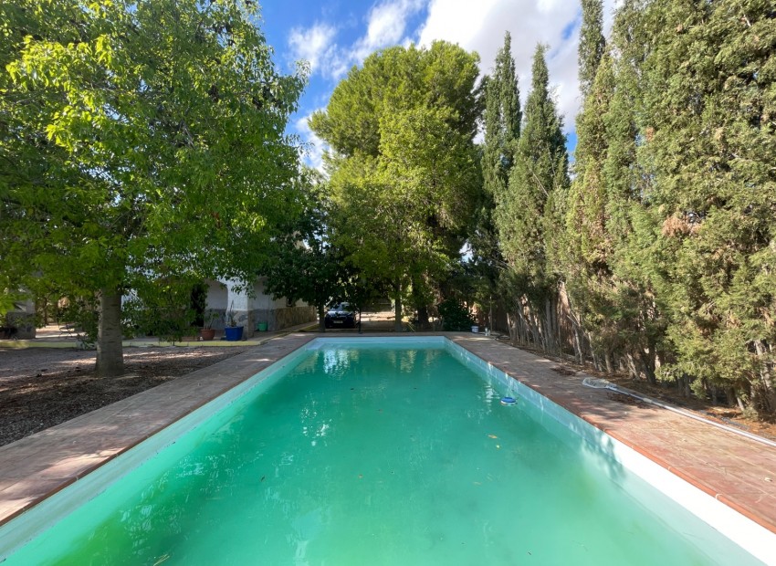 Revente - Finca Country Property -
Albatera