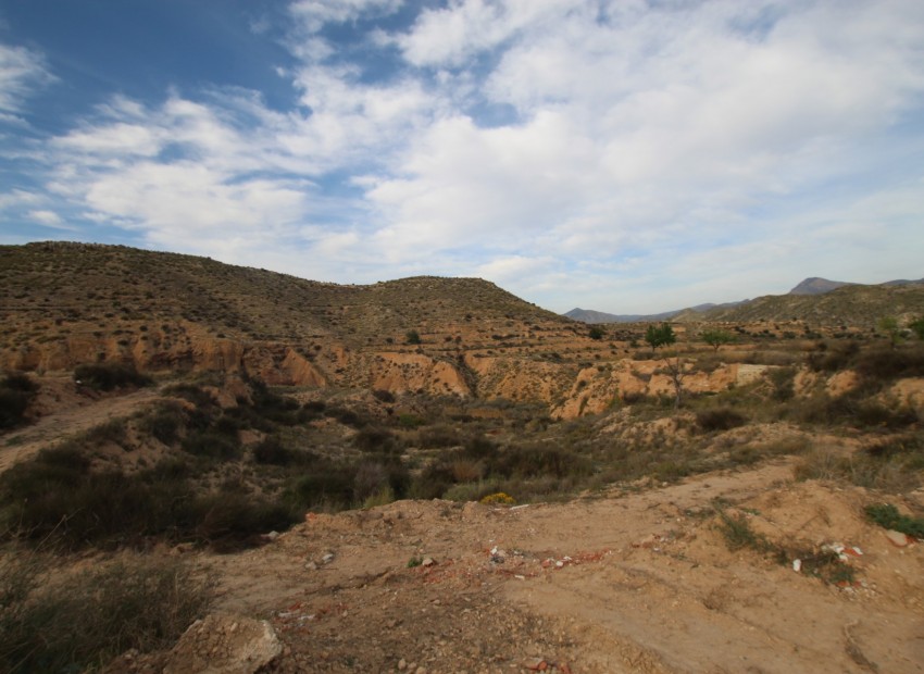 Revente - Finca / Propriété de campagne -
Alicante* - Monovar*