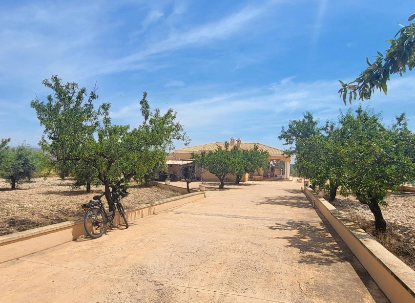 Revente - Finca / Propriété de campagne -
Hondon - Hondon de Las Nieves