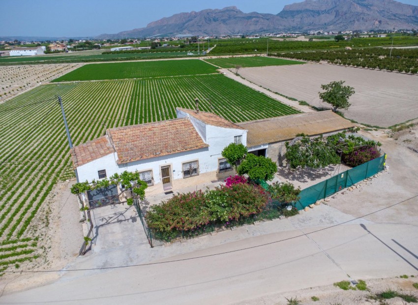 Revente - Finca / Propriété de campagne -
Orihuela - Desamparados-Hurchillo-Torremendo