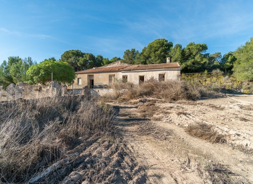 Revente - Finca / Propriété de campagne -
Pilar de la Horadada - Pinar de la Perdiz