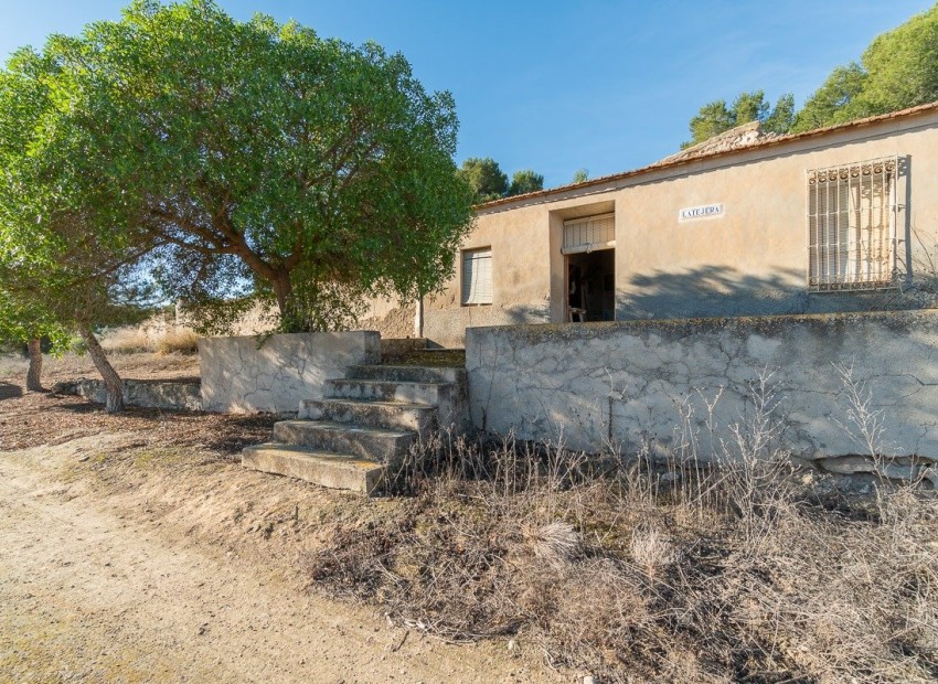 Revente - Finca / Propriété de campagne -
Pilar de la Horadada - Pinar de la Perdiz