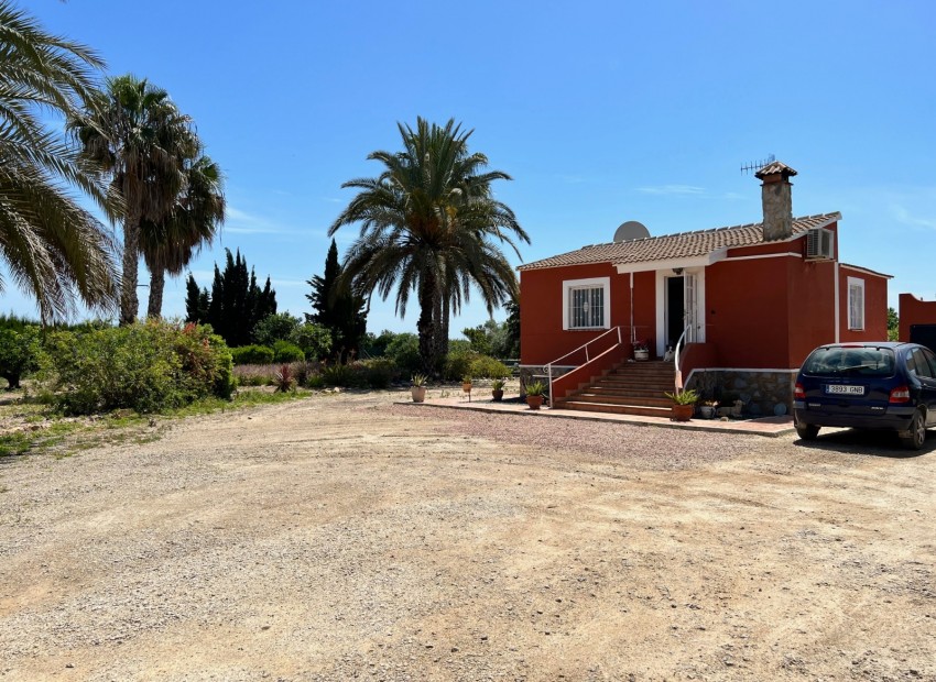 Revente - Finca / Propriété de campagne -
San Miguel de Salinas* - San Miguel De Salinas