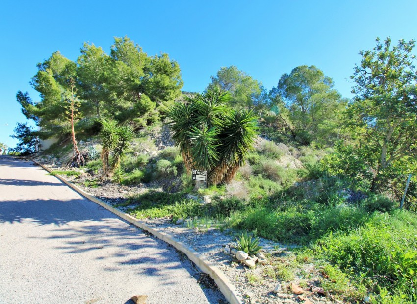 Revente - Plot -
San Miguel de Salinas* - San Miguel De Salinas