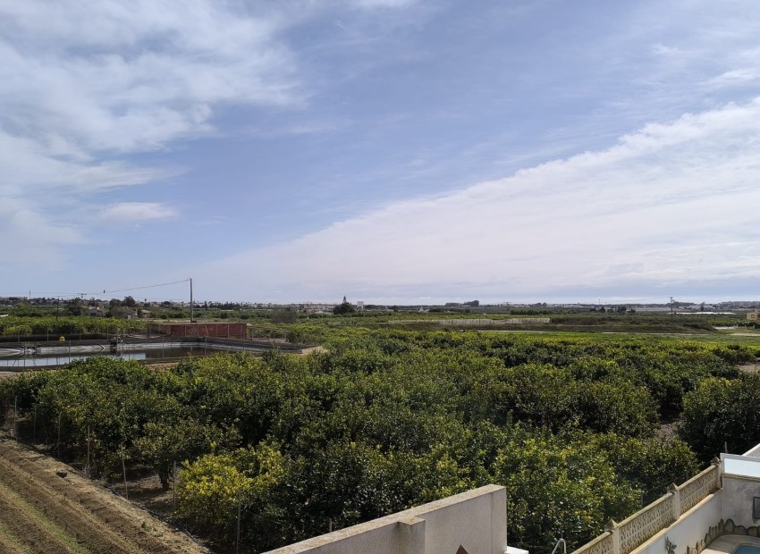 Revente - Villa -
Guardamar del Segura - El Raso