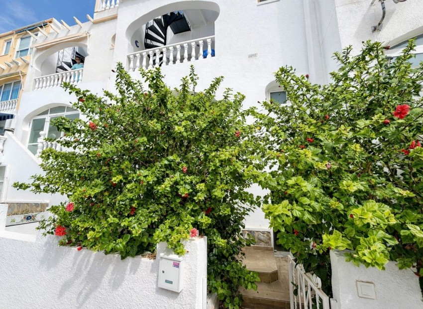 Sale - Apartment / Flat -
San Miguel de Salinas* - Las filipinas