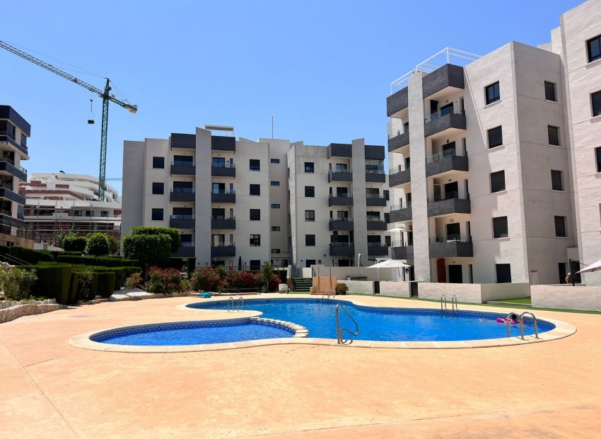 Sale - Apartment / Flat -
San Miguel de Salinas* - San Miguel Salinas