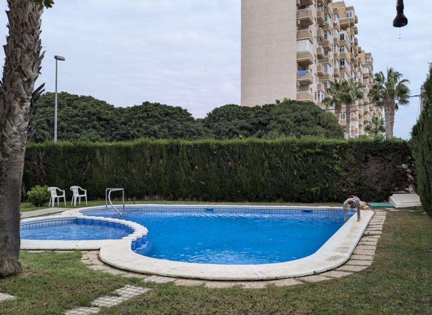 Sale - Apartment / Flat -
Torrevieja* - Torrevieja