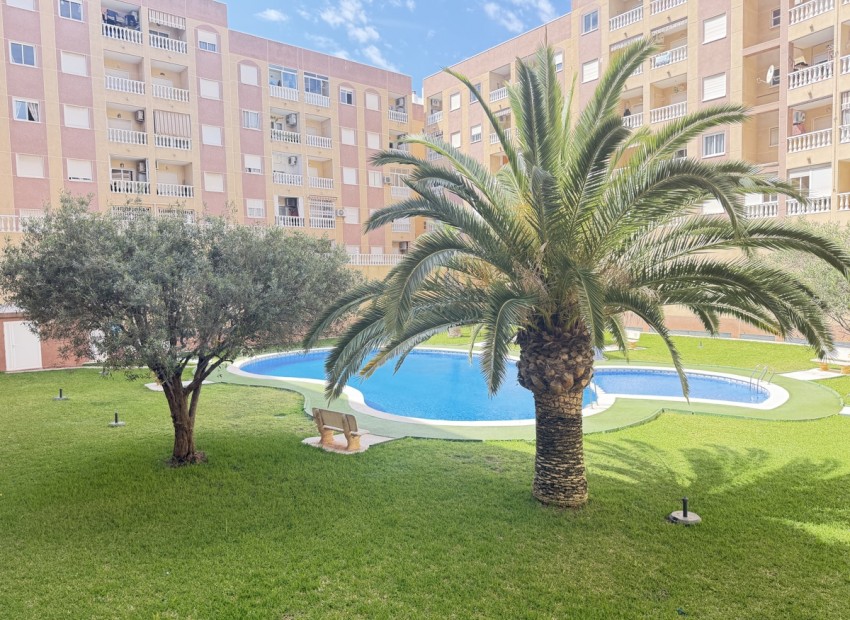 Sale - Apartment / Flat -
Torrevieja* - Torrevieja