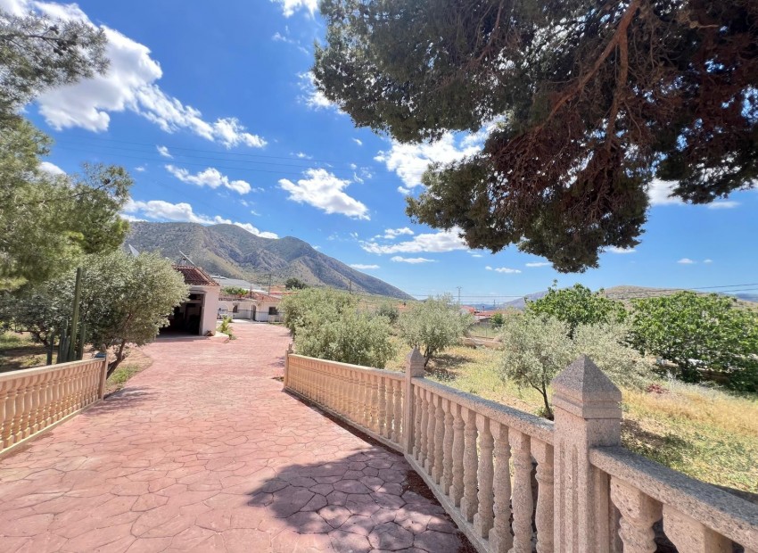 Sale - Finca / Country Property -
Algueña - Alguena
