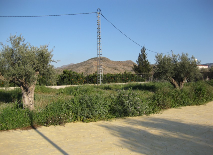 Sale - Finca Country Property -
Benferri