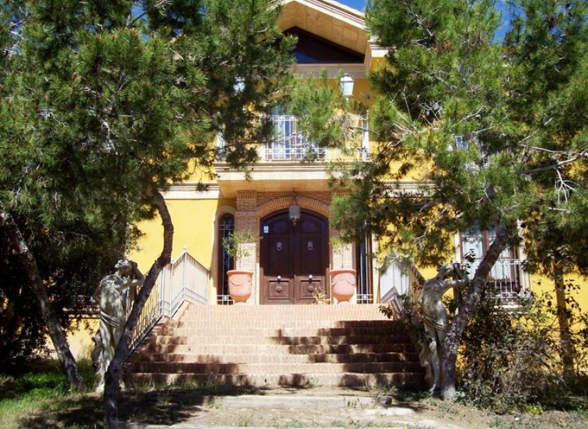 Sale - Finca / Country Property -
Cuidad Quesada* - Lo Pepin*