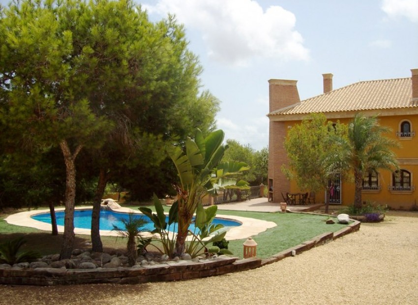 Sale - Finca / Country Property -
Cuidad Quesada* - Lo Pepin*