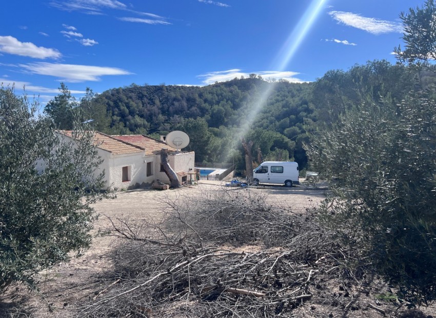 Sale - Finca / Country Property -
Torremendo