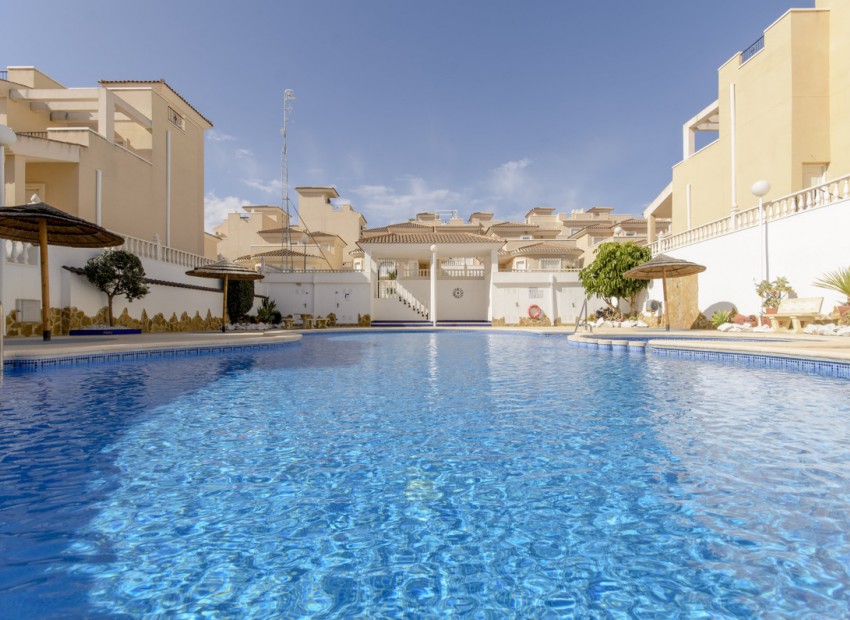 Sale - House -
San Miguel de Salinas* - San Miguel De Salinas