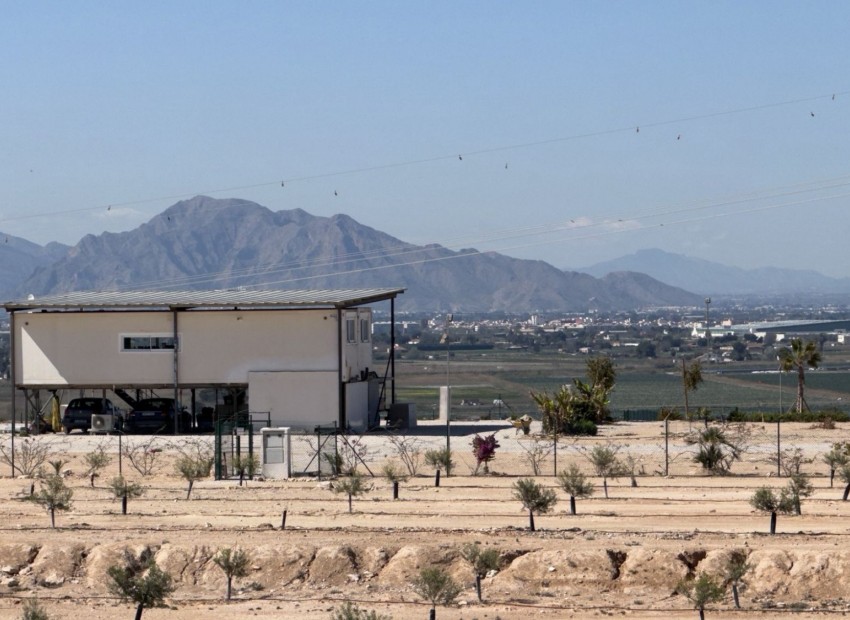 Sale - Land and Plots -
San Fulgencio - La Marina