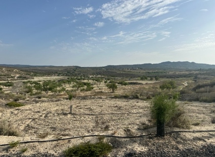 Sale - Plot -
Torremendo - Torremendo*