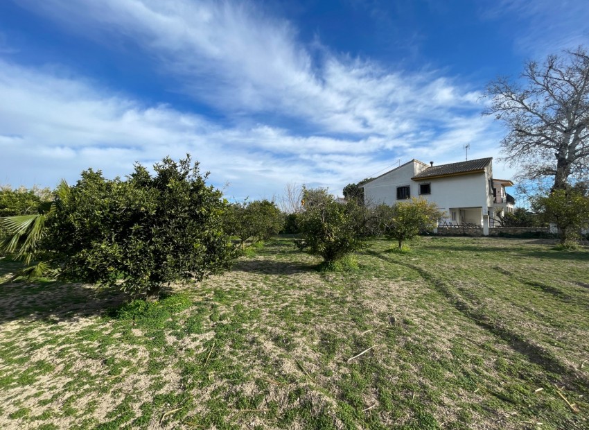 Sale - Villa -
Benejuzar - Comunidad Valenciana