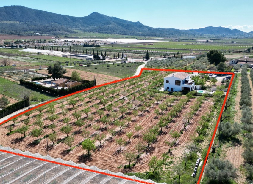 Sale - Villa -
Hondón de las Nieves - Hondón de las Nieves*