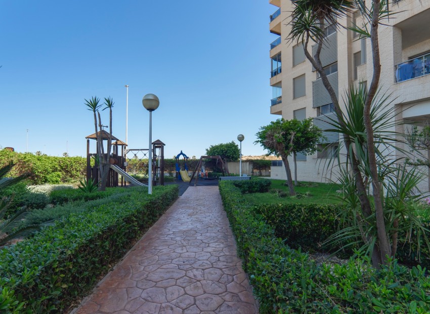 Venta - Apartamento / piso -
Guardamar del Segura - Guardamar del Segura - Town