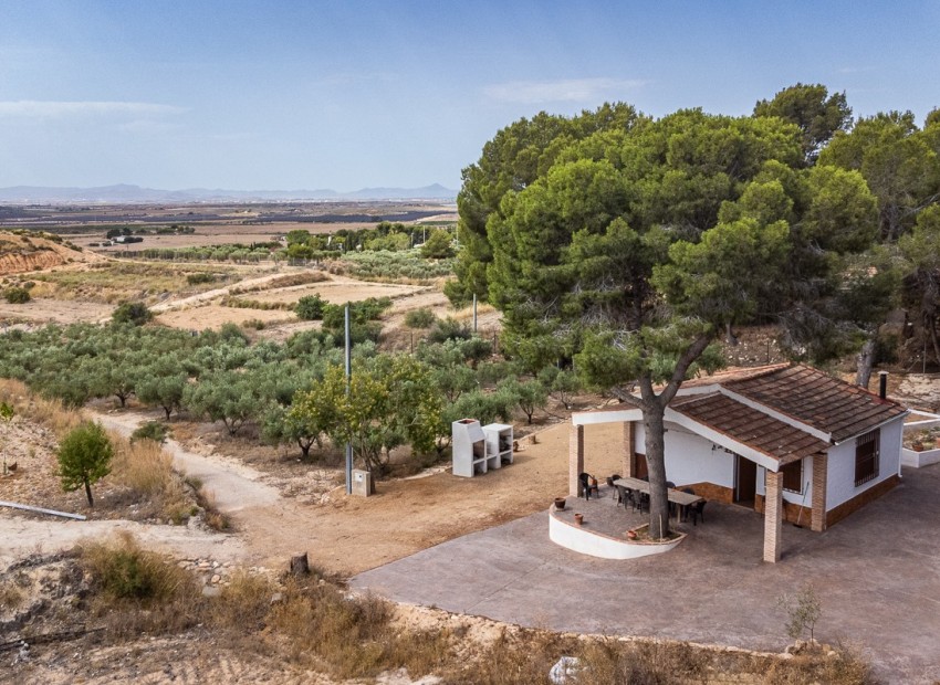 Venta - Apartamento / piso -
LA TERCIA - La Tercia