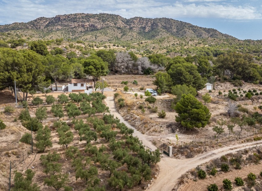 Venta - Apartamento / piso -
LA TERCIA - La Tercia