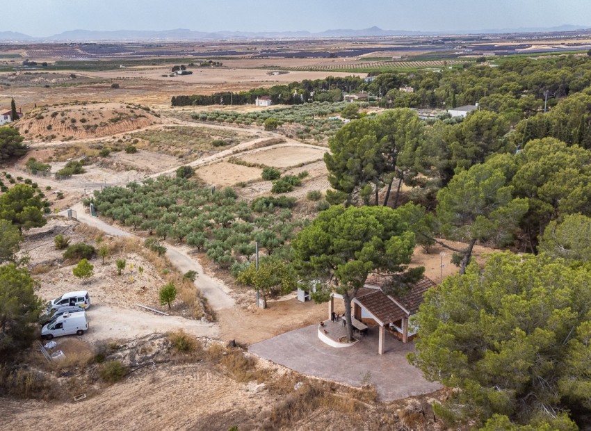 Venta - Apartamento / piso -
LA TERCIA - La Tercia