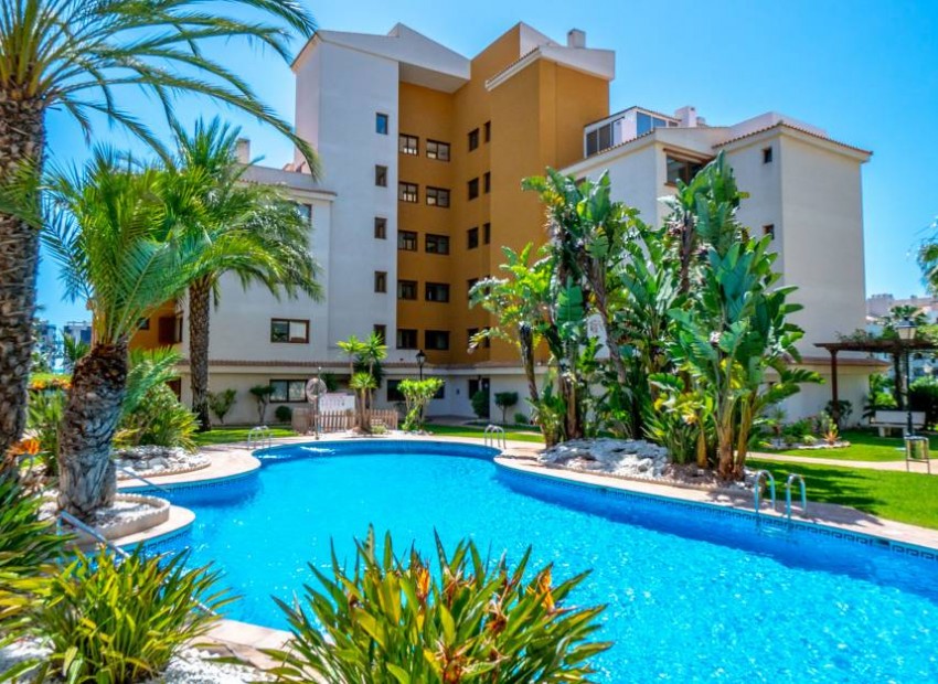 Venta - Apartamento / piso -
Punta Prima