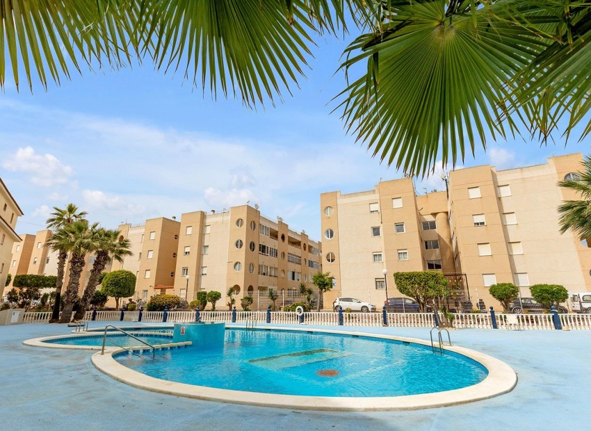 Venta - Apartamento / piso -
Torrevieja - San luis