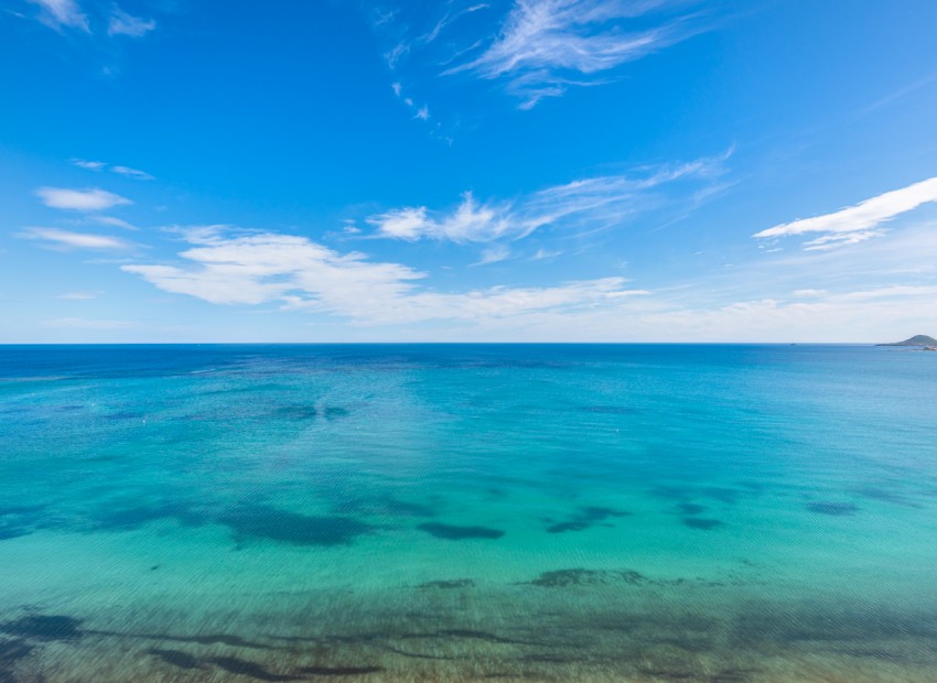 Venta - Apartamento / piso -
